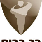 רב בריח1